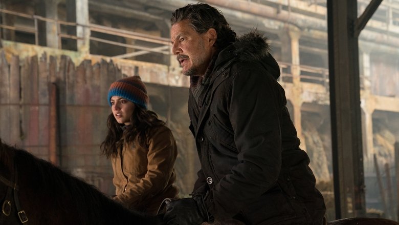 Bölüm 2: Vadi Boyunca